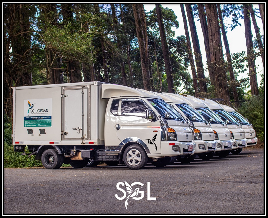 SG LOPSAN SRL - Galería 18